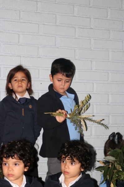 Celebración de Ramos